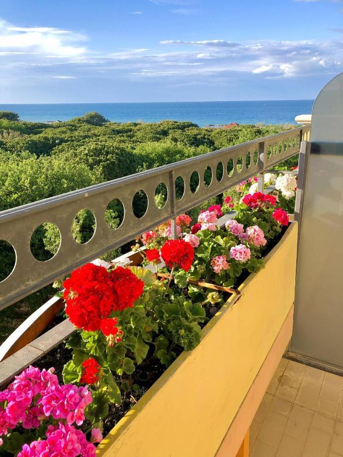 מיסאנו אדריאטיקו Hotel Caravel B&B מראה חיצוני תמונה